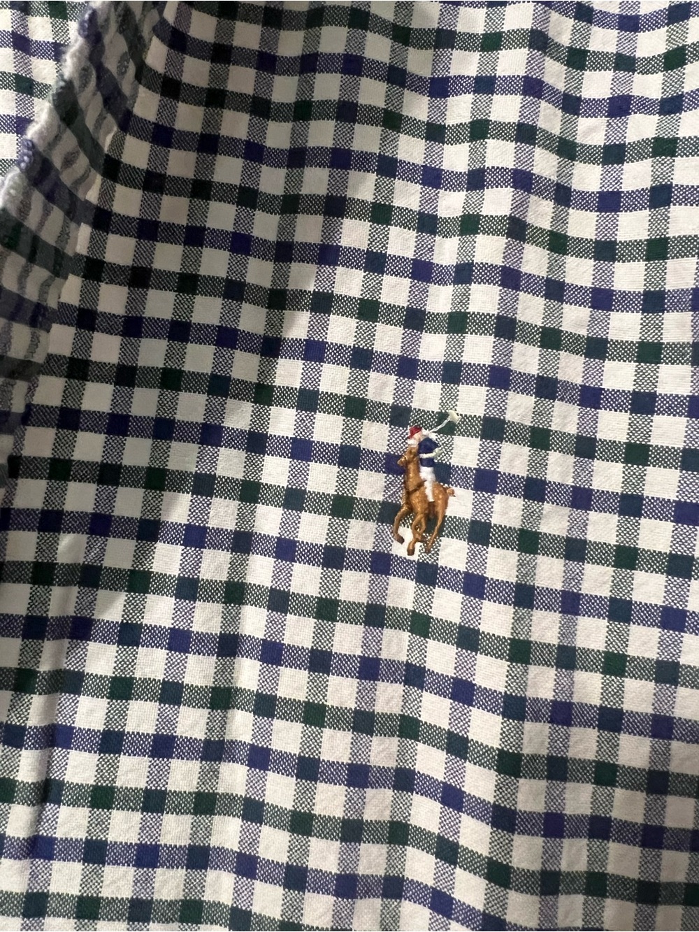 Polo by Ralph Lauren Men's Green & Purple Gingham Button-Down Shirt